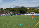 CAI 25