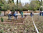 Huerto Escolar - Trabajos de limpieza y parcelación. Comenzamos a semblar o plantar ya !!!