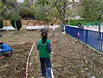 Huerto Escolar - Trabajos de limpieza y parcelación. Comenzamos a semblar o plantar ya !!!