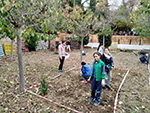 Huerto Escolar - Trabajos de limpieza y parcelación. Comenzamos a semblar o plantar ya !!!