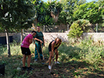 Huerto Escolar - Trabajos de limpieza y parcelación. Comenzamos a semblar o plantar ya !!!