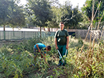 Huerto Escolar - Trabajos de limpieza y parcelación. Comenzamos a semblar o plantar ya !!!