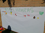 Actividad de frutas y verduras en Infantil!