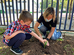 Huerto Escolar - Trabajos de limpieza y parcelación. Comenzamos a semblar o plantar ya !!!