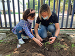 Huerto Escolar - Trabajos de limpieza y parcelación. Comenzamos a semblar o plantar ya !!!