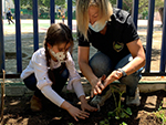 Huerto Escolar - Trabajos de limpieza y parcelación. Comenzamos a semblar o plantar ya !!!