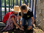 Huerto Escolar - Trabajos de limpieza y parcelación. Comenzamos a semblar o plantar ya !!!