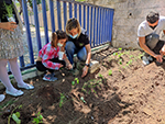 Actividad de frutas y verduras en Infantil!