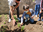 Actividad de frutas y verduras en Infantil!