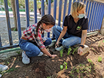 Actividad de frutas y verduras en Infantil!