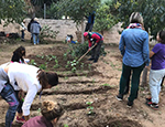 Huerto Escolar 2017-2018. Ilusiones renovadas