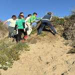 Protección Medioambiental