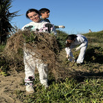 Protección Medioambiental