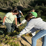 Protección Medioambiental