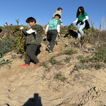 Protección Medioambiental