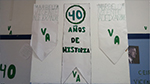 Fiesta MURALES